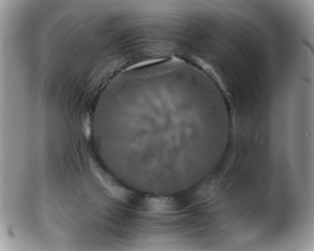 X0000099510069200805151510