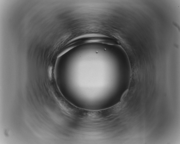 X0000099510070200805151510