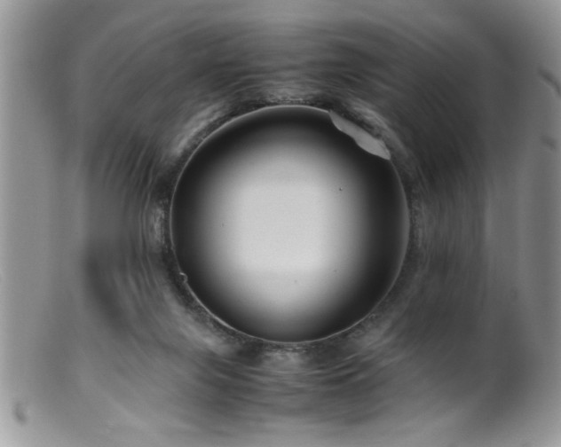 X0000099510071200805151510