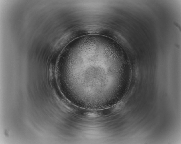 X0000099510074200805151510