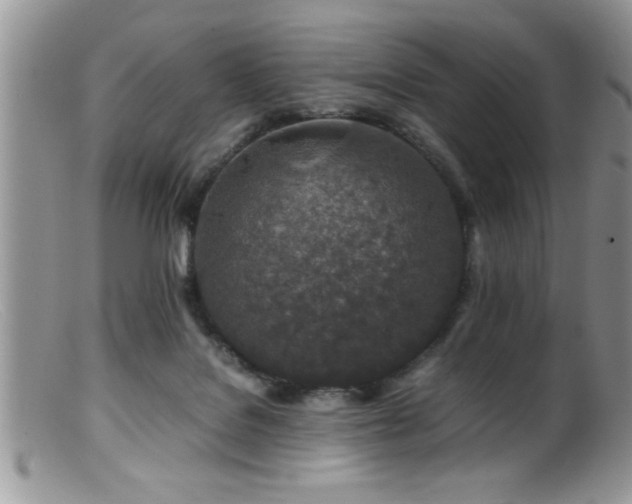 X0000099510076200805151510