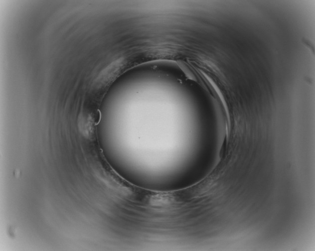 X0000099510077200805151510