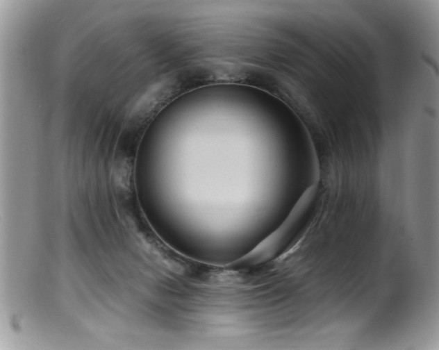 X0000099510078200805151510