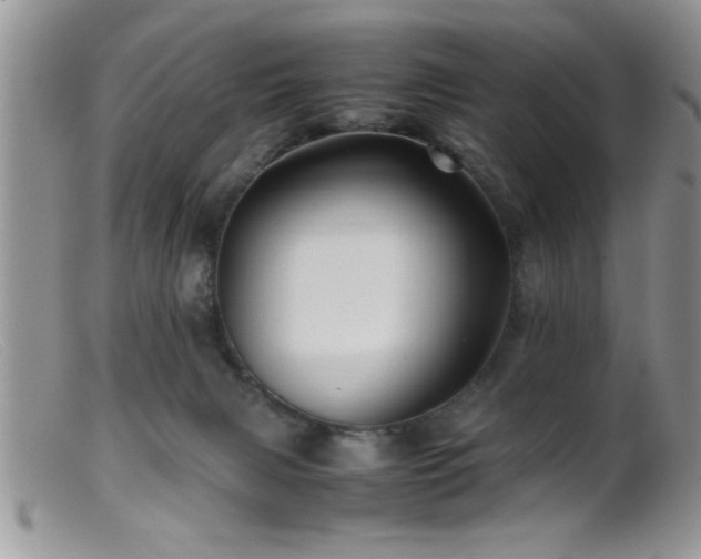 X0000099510079200805151510