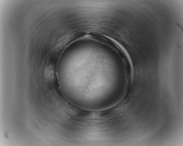 X0000099510080200805151510