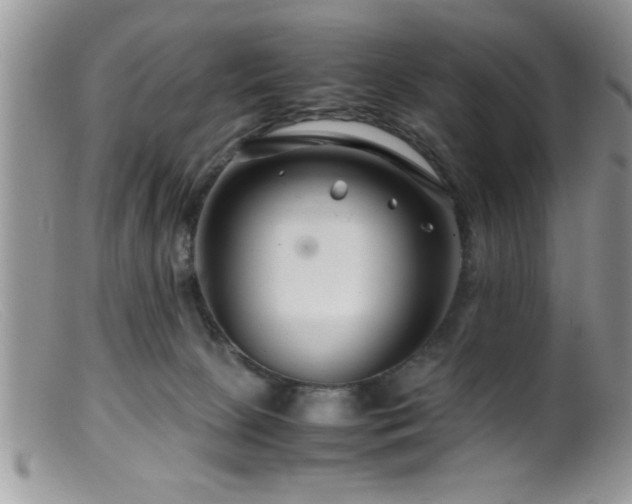 X0000099510081200805151510