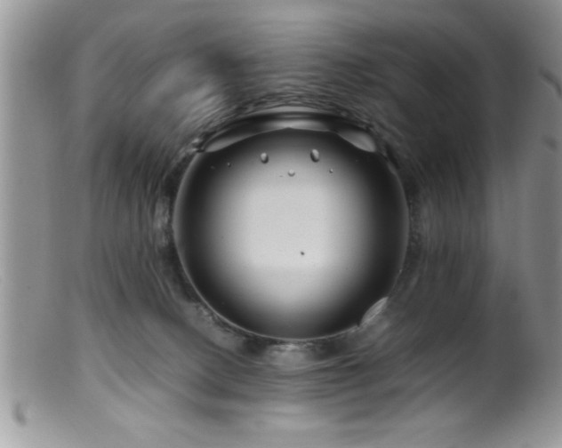 X0000099510082200805151510