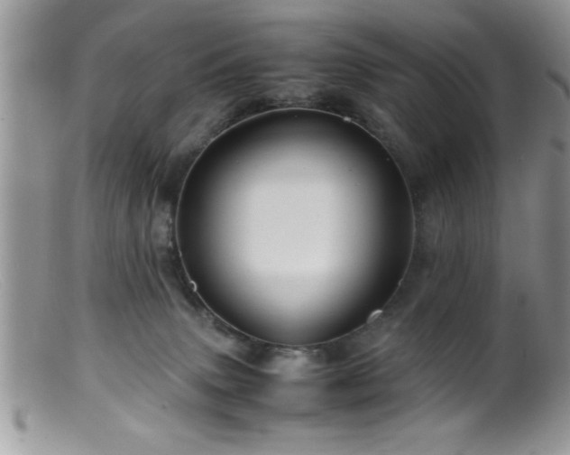 X0000099510083200805151510