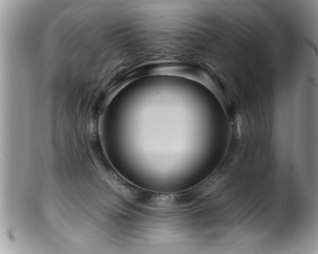 X0000099510084200805151510