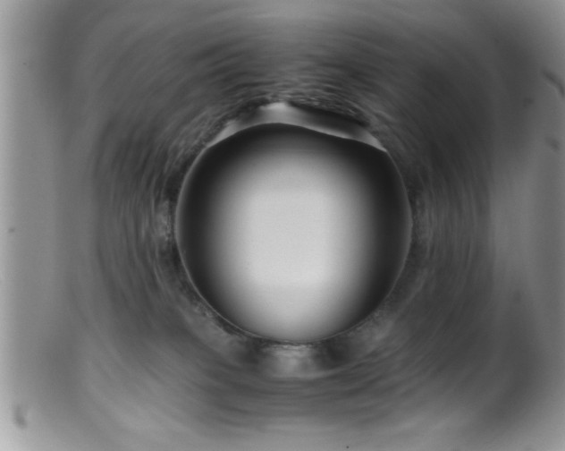 X0000099510085200805151510