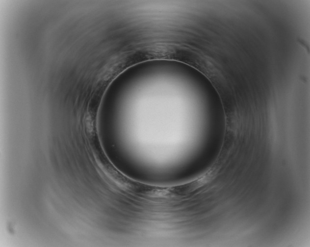 X0000099510086200805151510