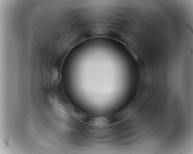 X0000099510087200805151510