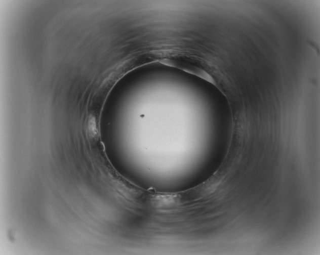 X0000099510089200805151510