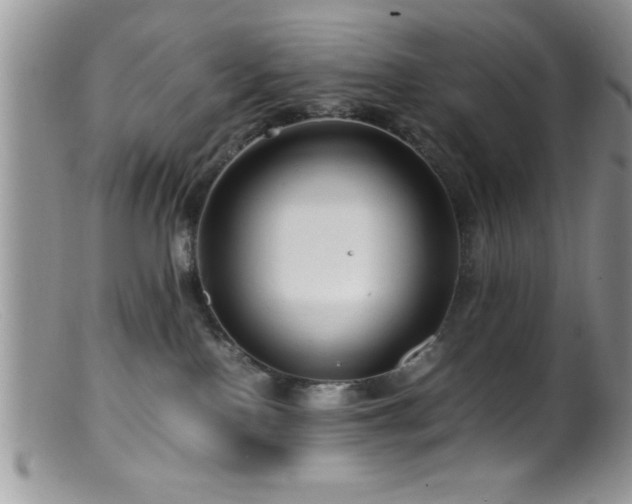 X0000099510090200805151510