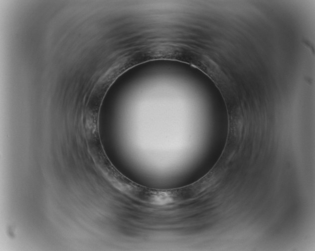 X0000099510091200805151510