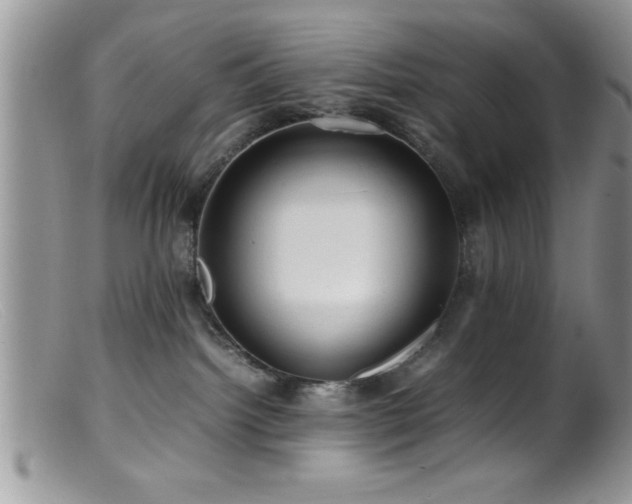 X0000099510092200805151510