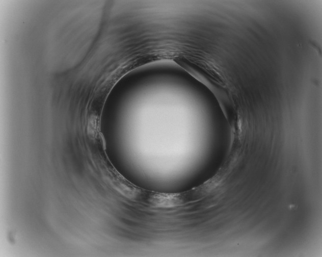 X0000099510093200805151510