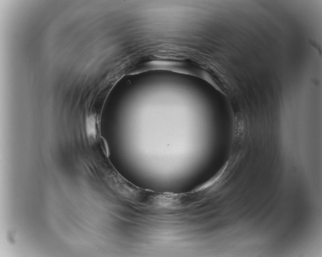 X0000099510094200805151510