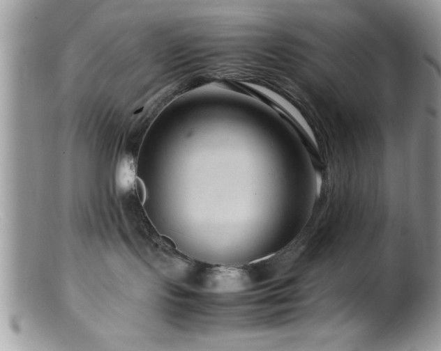 X0000099510095200805151510