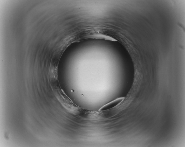 X0000099510096200805151510