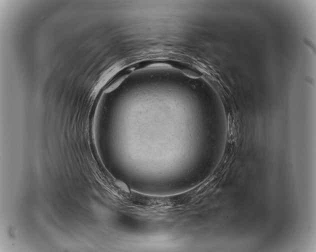 X0000099510099200805151510