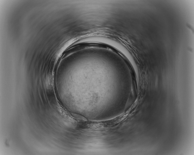 X0000099510100200805151510