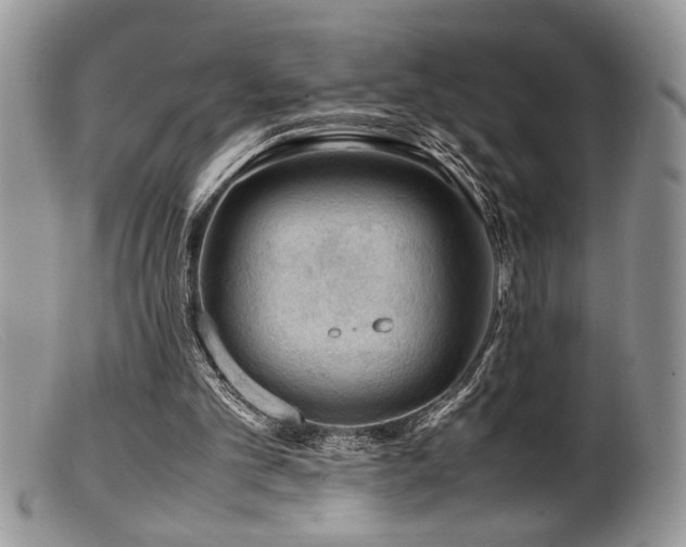 X0000099510101200805151510