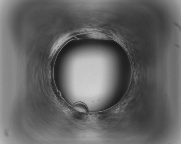 X0000099510103200805151510