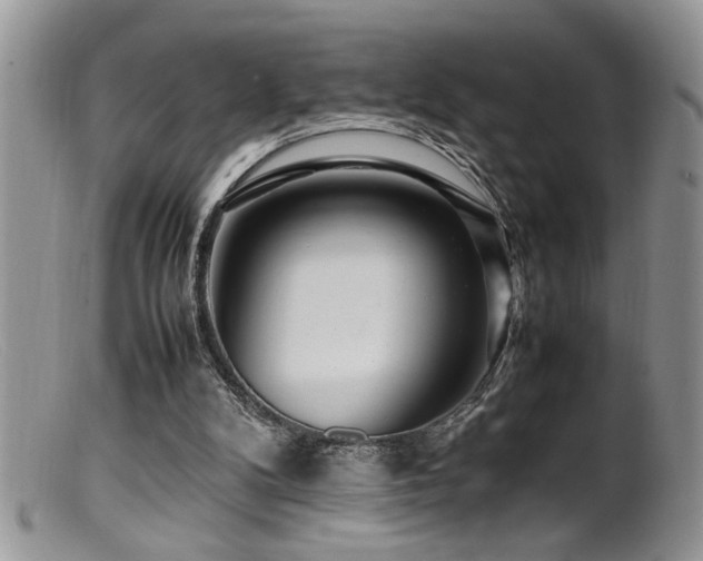X0000099510104200805151510