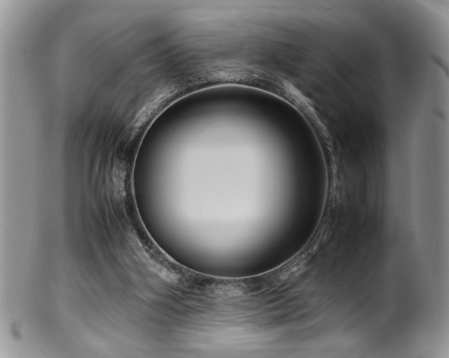 X0000099510106200805151510