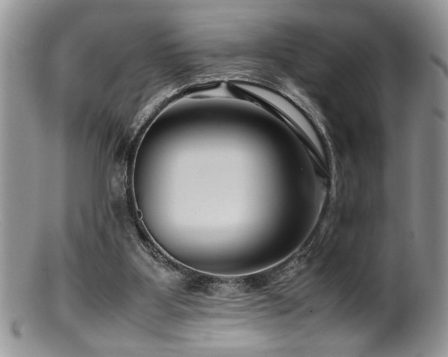 X0000099510107200805151510