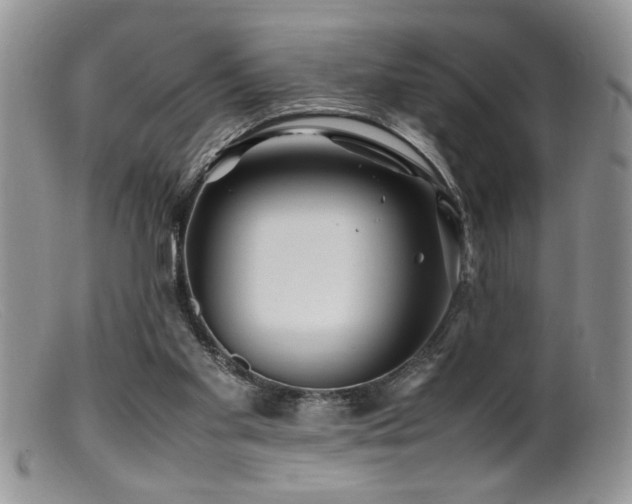 X0000099510109200805151510