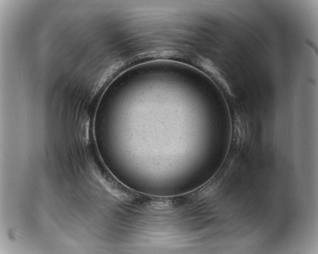 X0000099510110200805151510