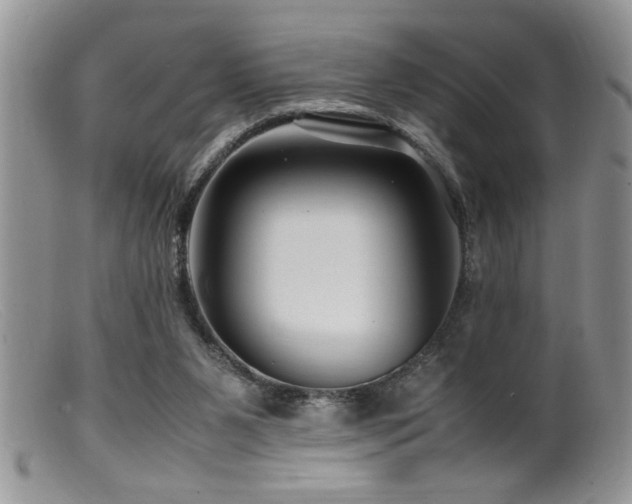 X0000099510111200805151510
