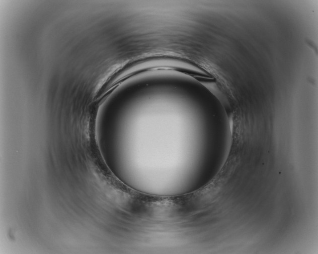 X0000099510112200805151509