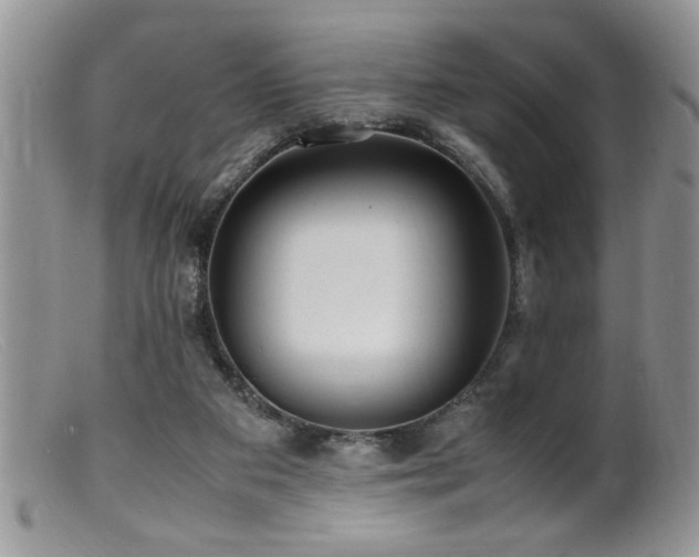 X0000099510113200805151509