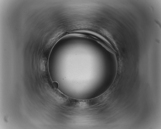 X0000099510114200805151509