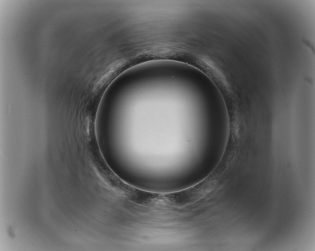 X0000099510115200805151509