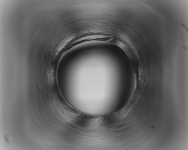 X0000099510116200805151509