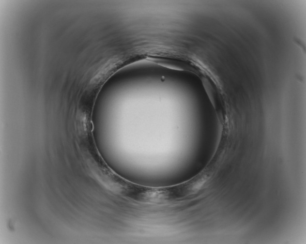 X0000099510117200805151509