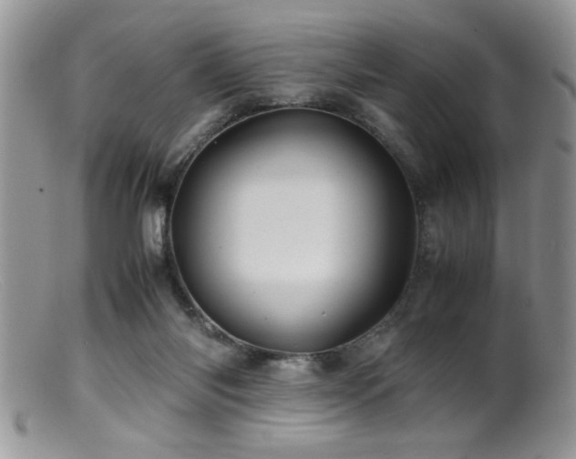 X0000099510118200805151509