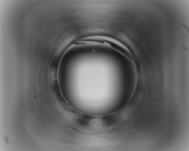 X0000099510119200805151509