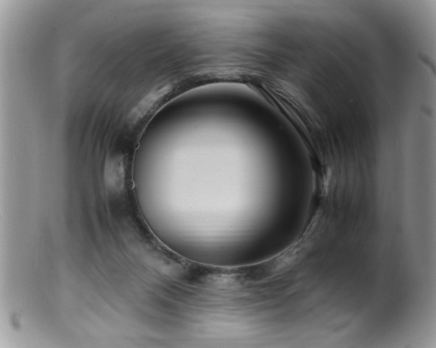 X0000099510120200805151509