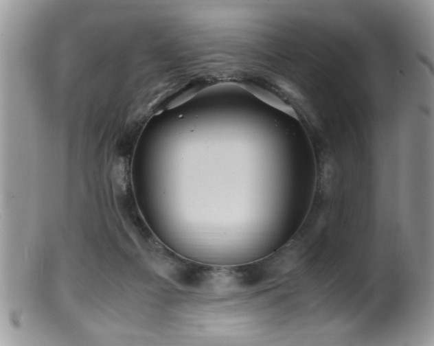 X0000099510121200805151509