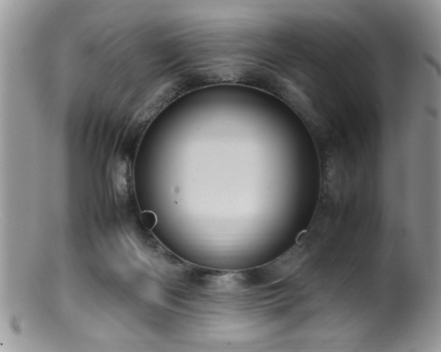 X0000099510122200805151509