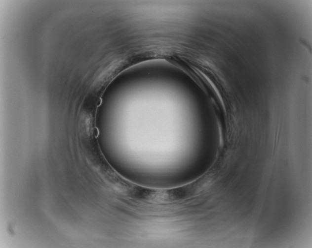 X0000099510123200805151509