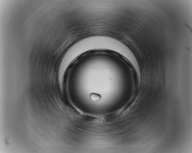 X0000099510124200805151509
