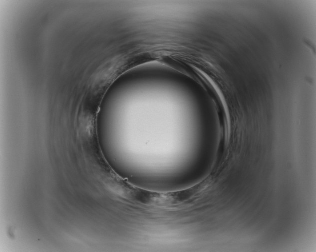 X0000099510125200805151509
