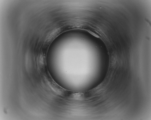 X0000099510126200805151509