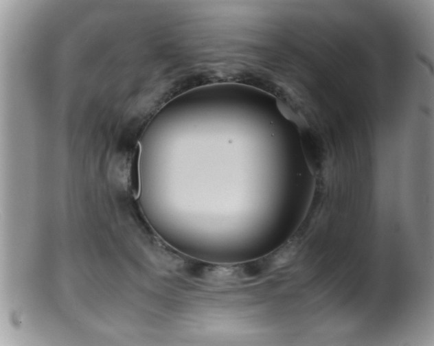 X0000099510129200805151509